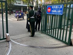 -三里屯东五街银杏大道