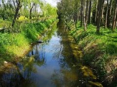 -前小桔亲子创意农场·草莓采摘·露营烧烤