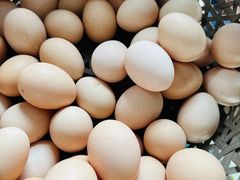 -马陆小张葡萄园农家乐