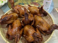 -光明农场大观园