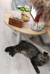 -初NAIL日式美甲美睫沙龙