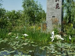 -武清南湖绿博园