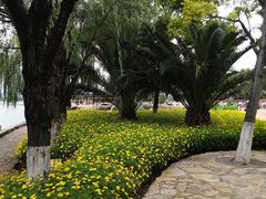 -翠湖公园