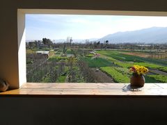 -翠田Green Field Kitchen