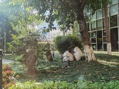 -岷山饭店-芝芝自助餐厅