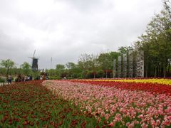 -上海鲜花港