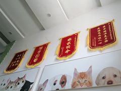 -爱侣宠医·鹦鹉专科·小型哺乳类·异宠专科(灵石路店)