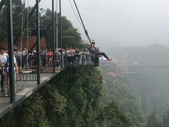 -梦幻奥陶纪景区