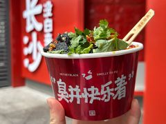-黑色经典臭豆腐·湖南特产(坡子街店)