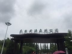 -黄海国家森林公园