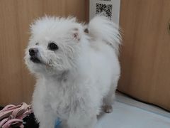 -联合动物医院(光谷诊疗中心)