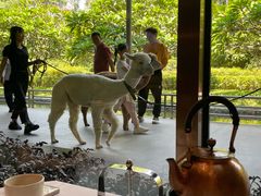 -南宁荔园维景国际酒店·荔园中餐厅