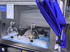 -谐和贝康宠物医院24小时·宠保定点(急重症转诊中心)