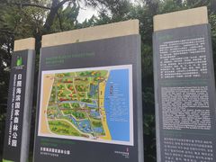 -日照海滨国家森林公园
