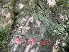-王顺山国家森林公园