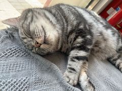 -平行世界·猫咖(首经贸店)