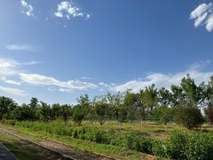 -永定河休闲森林公园