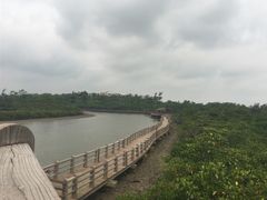 -东寨港红树林旅游区