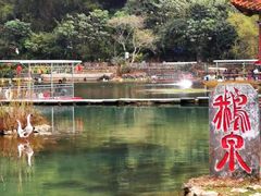 -靖西鹅泉风景区