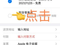 -Apple零售店(深圳益田假日广场店)