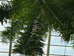 -龙达温泉生态城