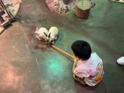 -Zoolung Zoolung动物主题公园(海信广场店)