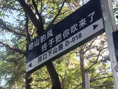 -崂山仰口游览区