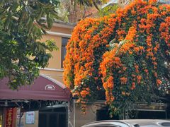 -光明刘冰乳鸽店(光明法政北路店)