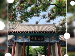 -千佛山风景名胜区