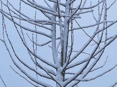 -武汉紫薇都市田园