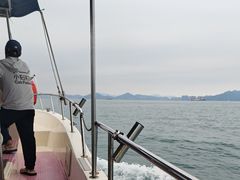 -小猫钓鱼海钓俱乐部(椰梦长廊店)