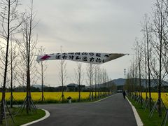-西京湾花海