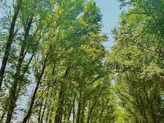-森林公园(尖草坪区)