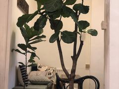 -拾壹cafe·工作室