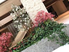 -太湖饭店·寄畅轩中餐厅