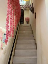 点击看大图 -玛妮雅科技纤体美容