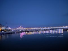 -星海湾跨海大桥