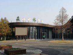 -黄海国家森林公园