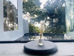 -南山植物园