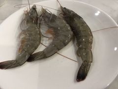 -218音乐旋转餐厅·高空景观