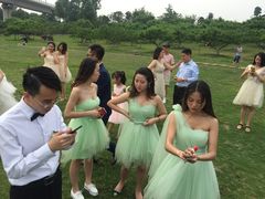 -秀丽东方