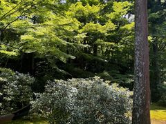 -三千院