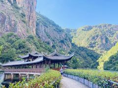 -天台山琼台仙谷景区