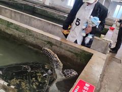 -硇洲岛旅游区