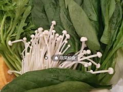 -蝎王府羊蝎子(北大地店)