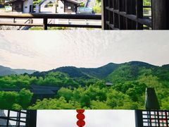-大唐贡茶院