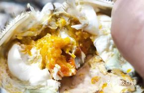 Wild Rice Field Crab