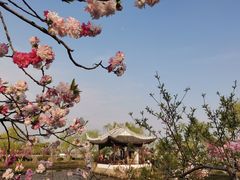 -无锡蠡湖国家湿地公园-蠡园