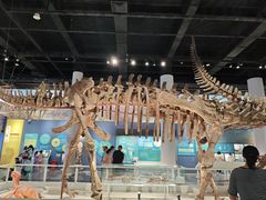 -国家自然博物馆