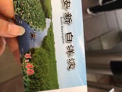 -白洋淀景区